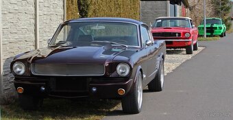 1966 FORD MUSTANG FASTBACK V8 AUTOMATIC SHOW CAR - 17