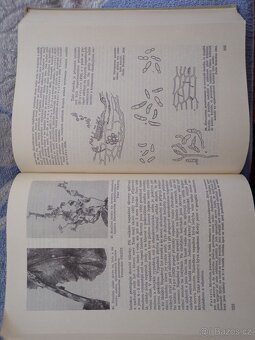 Zemědělská Fytopatologie 1, 2, 3. - 17