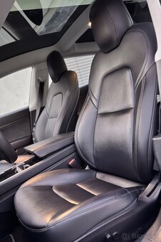 Tesla Model 3 Standard Range - 17