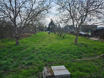 Prodej zahrady v Břeclavi. - 17