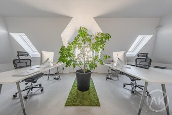 Prodej  luxusní vily ze 30. let, ul. Tilschové - 17