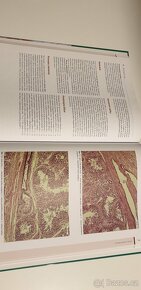 Histologický atlas, Vyprac. otázky z hist, Zákl. fyz. - 17