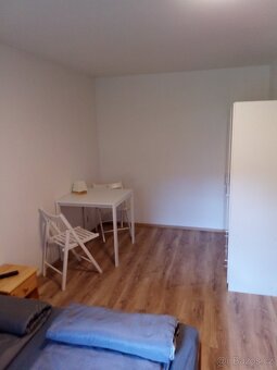 Pronajmu apartmány v Harrachově - 17