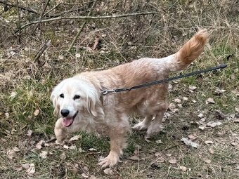 VIKY & ZORKA - umazlené babičky čekají na svého anděla - 17