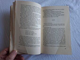 Rok na vsi  kronika moravské dědiny - 17