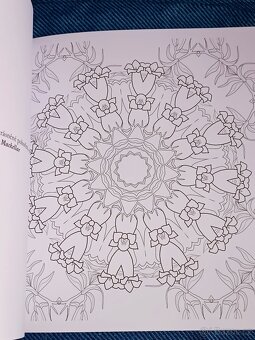 Omalovánky pro dospělé: Inspirativní a ............. - 17