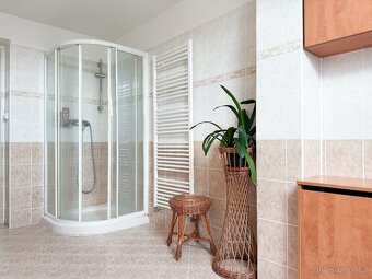 Pronájem bytu 5+kk 190 m² + garáž - 17