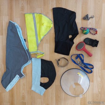 Výbava pro menšího psa (např. pro vipeta) za jednu cenu - 17