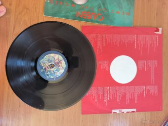 LP desky, vinyl různé - 17