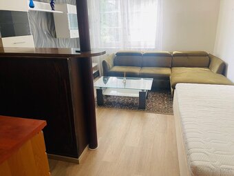 Prodej, byt 1+kk, ul. Sladkovského, Plzeň -město - 17