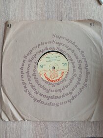 Prodám originální gramofonové desky, [I] - 17