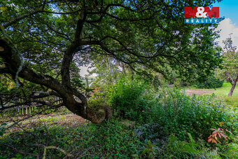 Prodej chaty v Novém Městě na Moravě; - 17