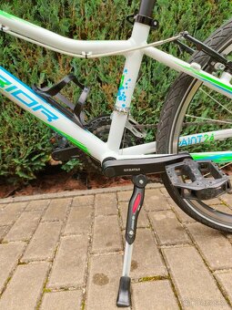 Superior XC 24" Paint - 17