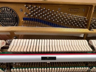 W.Hoffmann - Bechstein mod. 117 se zárukou 5 let. - 17