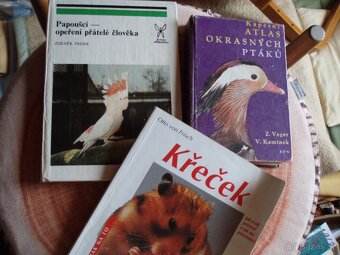 knihy o zvířatech,pavouci,ryby,užovka,holubi,králíci,brouci - 17