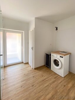 Pronájem moderního prostorného bytu 4+kk se zahradou u lesa - 17