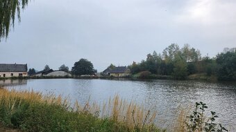 Prodám rodinný dům 110m², pozemek 1220m², včetně rybníku - 17