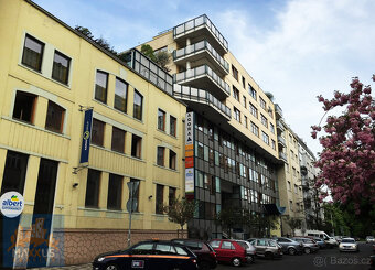Pronájem obchodních prostor (242,9 m2), Chrudimská, Praha 3 - 17