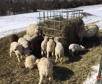 IBC nádrže na všechno černé bílé a klece - 17