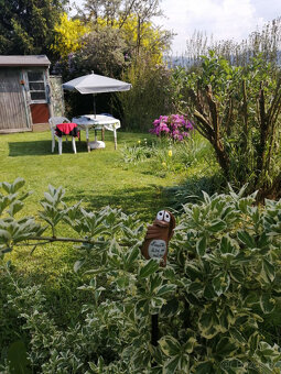 Prodej zahrada Děčín - 17