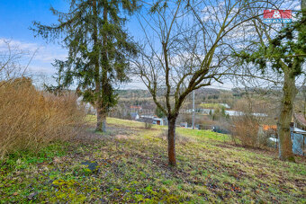 Prodej zahrady, 408 m², Bílichov - 17