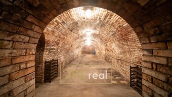 Prodej vinného sklepu - Velké Bílovice, ev.č. 170049JK - 17