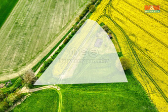 Prodej pole, 6672 m², Pláň, Ostrov u Bezdružic - 17
