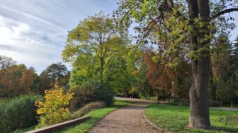 Prodej činžovního domu, Bulharská ul, Pardubice - 17