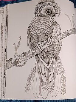 Omalovánky pro dospělé Exotický prales - 17