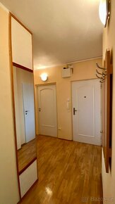 Pronájem bytu 2+1, 55 m² s lodžií - Hustopeče u Brna - 17