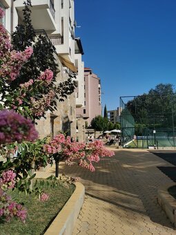 Byt u moře,Slunečné pobřeží,Bulharsko,1 650 000 kč - 17