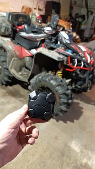 ALU kola ITP cryptid R14 - 17