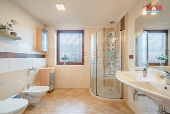 Prodej rodinného domu 4+kk, 196 m², Václavice u Benešova - 17