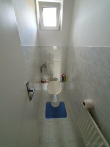 Bytu 4+1, 110m2, Mikulovice 790 84 - 17