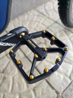 Horské kolo Canyon Strive CF 6.0 Carbon 2019 29″ - 17
