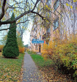 Pronájem bytu 1+1 37 m², Olomouc, ev.č. 02874 - 17