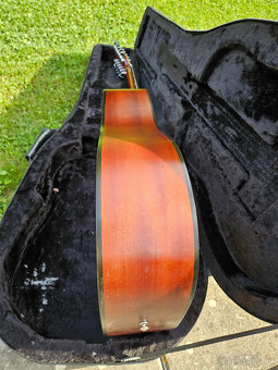 Celomasivní akustická 12 strunná kytara FURCH - 17