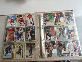 Hokejové kartičky - 17