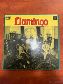 Sbírka LP Desek - 17