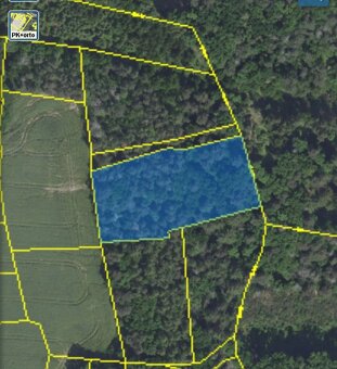 Lesní pozemek Chářovice - 17