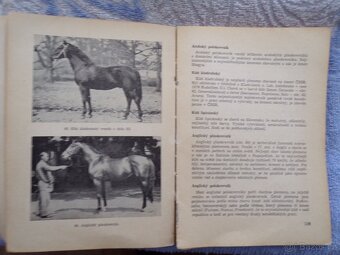 Chov ovcí, Biologie výživy, Kožešinové zvířata, Základy. - 17