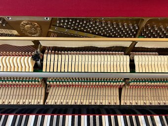 Yamaha C110A se zárukou 5 let, doprava do 100 km zdarma. - 17