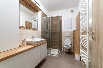 Pronájem novostavby 2+kk s balkonem a parkovacím místem, Zbů - 17