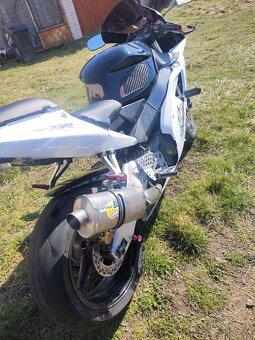 Honda fireblade 954rr - 17