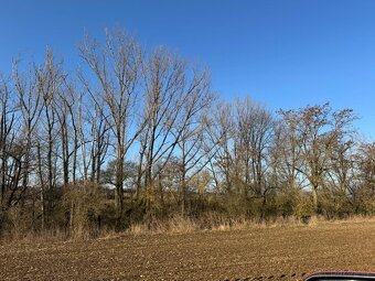 Prodám lesní pozemky v k.ú. Radouň - 17