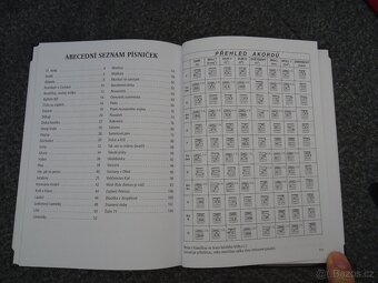 Knihy,Česká cesta ke svobodě,Stoletý maraton - 17