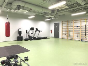 Prodej bytu 1+kk 45 m2 s balkonem, sklepem a garážovým stání - 17