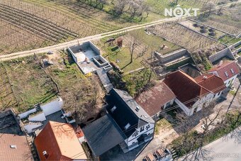 Vinný sklípek / pronájem dohodou - 17