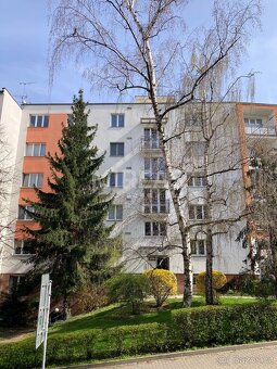 Pardubice, pronájem bytu 2+kk, 60 m2, okr. Pardubice - 17