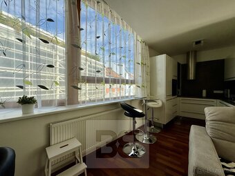 Pronájem byty 3+kk, 82 m2 - Brno - Staré Brno, ev.č. N08023 - 17